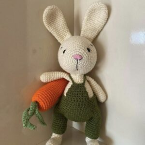 Lapin et sa carotte
